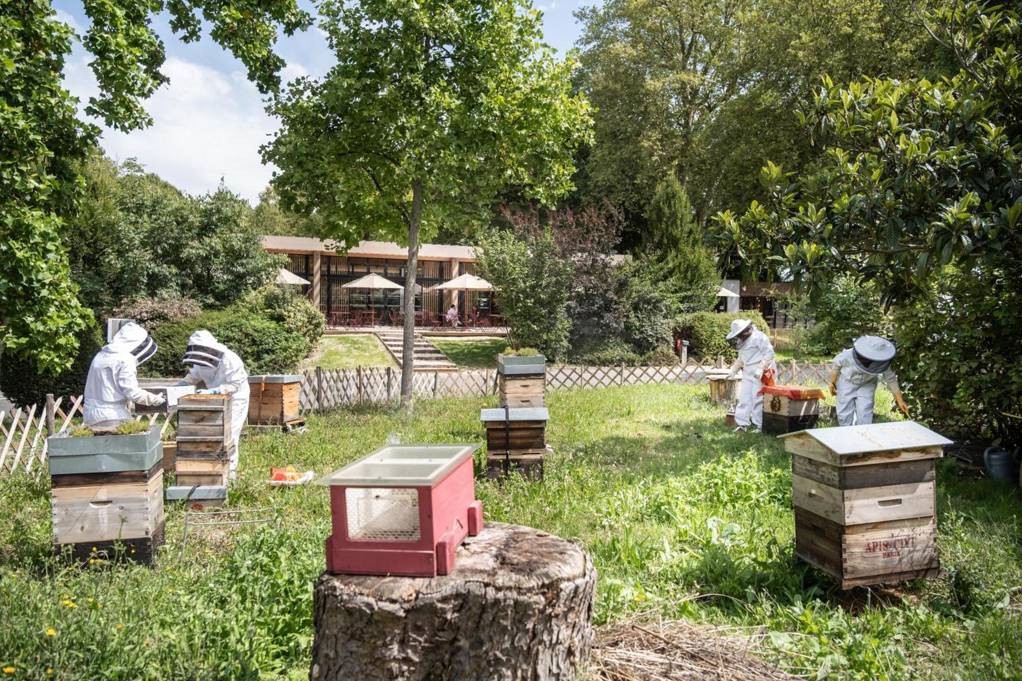 Campsite Citykamp 4*